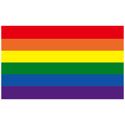 Traditional 6 Colour Rainbow Pride Flag (150cm x 90cm)