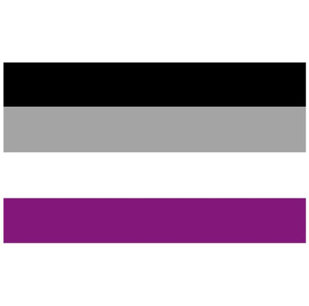 ASexual Pride Flag (150cm x 90cm)