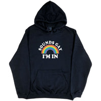 Sounds Gay, I'm In! Hoodie (Black)