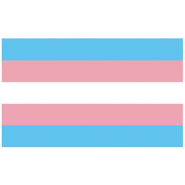 Transgender Pride Flag (150cm x 90cm)